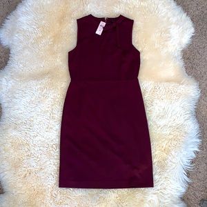 Ann Taylor Dress